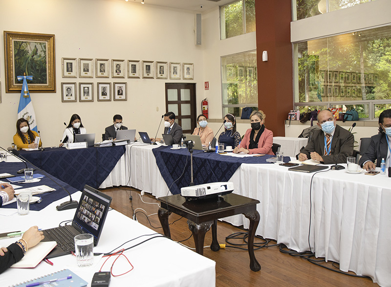 COPADEH participa en el 142° período ordinario de sesiones virtuales de la CORIDH